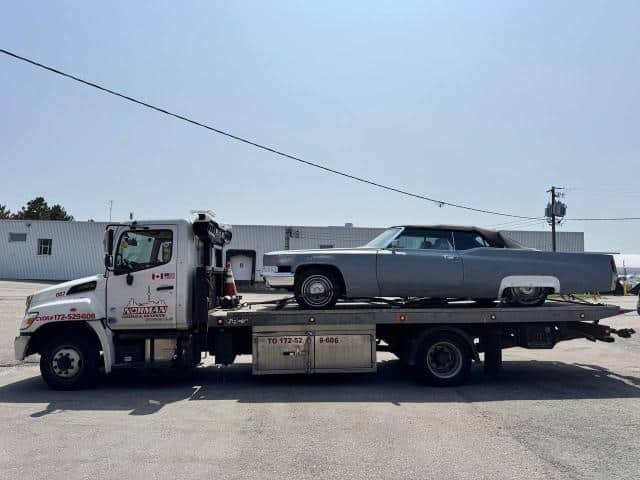 Every car tells a story — we make sure it gets there safely.